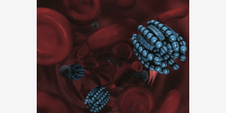 Illustration for article titled How Medical Nanotech Will Change Humanity Forever